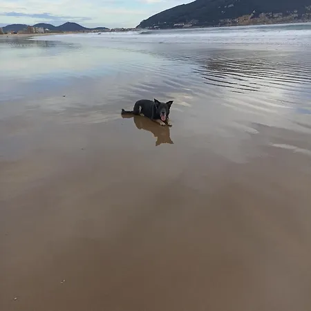 Centrico Zona Marques De Comillas 8 דירה לרדו