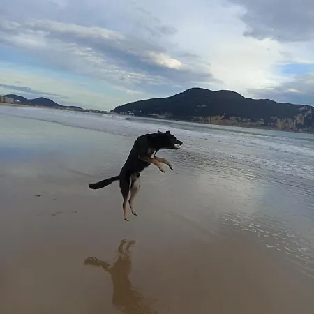 Centrico Zona Marques De Comillas 8