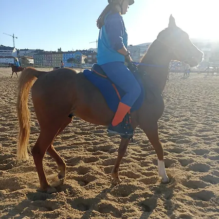 Centrico Zona Marques De Comillas 8