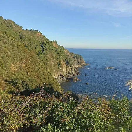 Centrico Zona Marques De Comillas 8 拉雷多