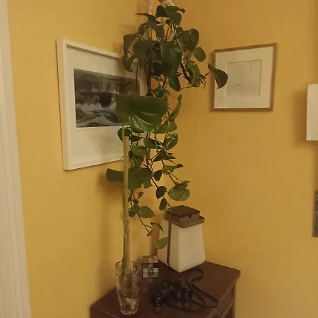 Centrico Zona Marques De Comillas 8 * Ларедо