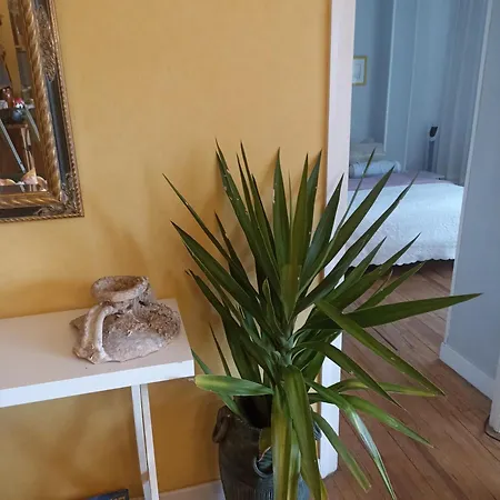 Centrico Zona Marques De Comillas 8 Апартаменты Ларедо