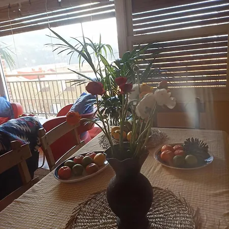 公寓 Centrico Zona Marques De Comillas 8 拉雷多