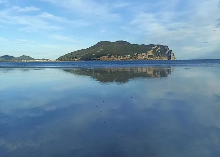 Centrico Zona Marques De Comillas 8