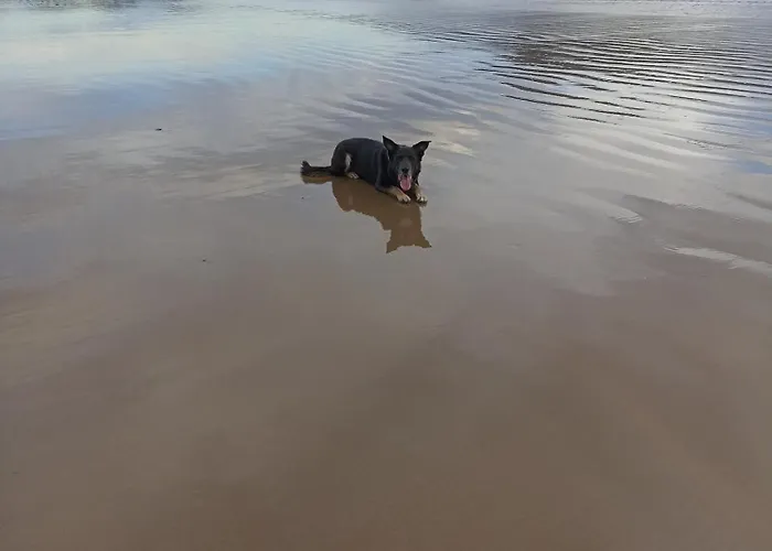 Centrico Zona Marques De Comillas 8 Apartmán Laredo