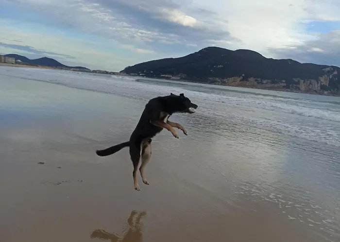 Centrico Zona Marques De Comillas 8