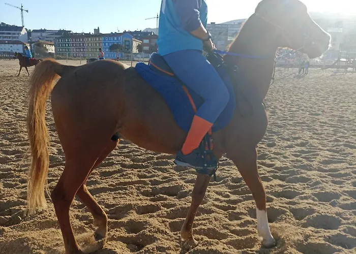 Centrico Zona Marques De Comillas 8