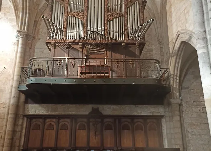 公寓 Centrico Zona Marques De Comillas 8 拉雷多