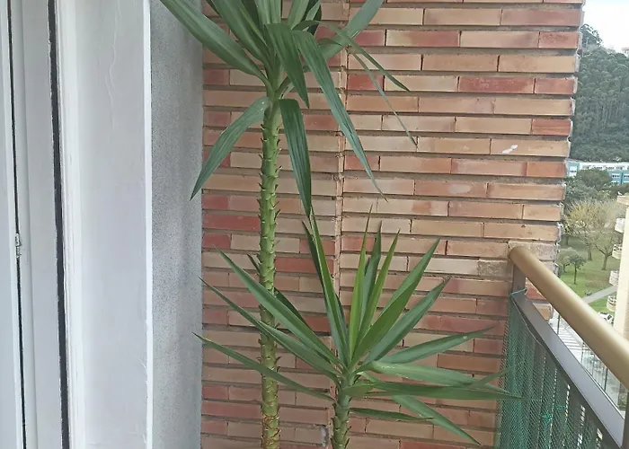 Centrico Zona Marques De Comillas 8