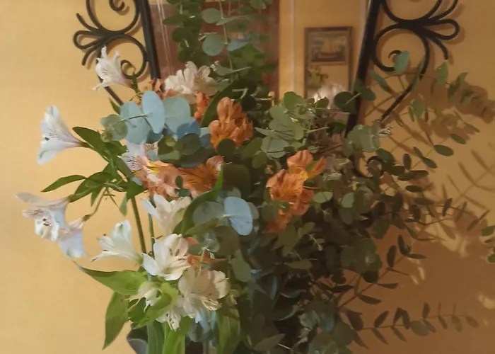 Centrico Zona Marques De Comillas 8 Apartman *