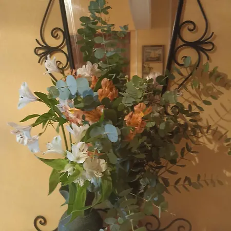 Centrico Zona Marques De Comillas 8 Appartement *