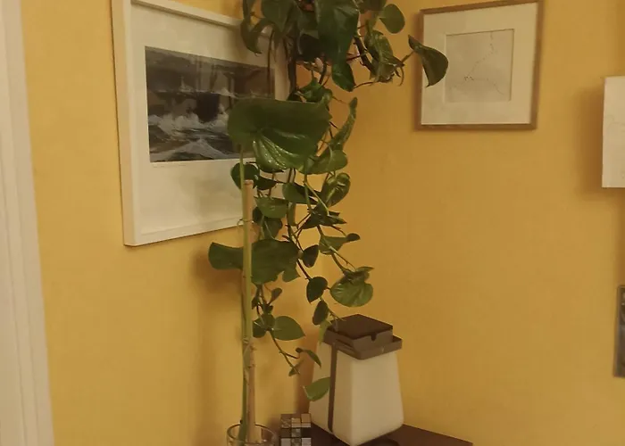 Centrico Zona Marques De Comillas 8 * Laredo